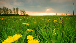 Самое важное за неделю: с 17 по 21 июня 2024 года: прожиточный минимум 2025, налоговые ставки, налоговый статус определят по АИС