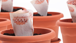 О налогах, декларации и Налоговом кодексе