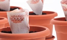 О налогах, декларации и Налоговом кодексе