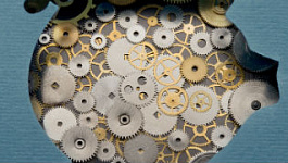 Как устроена государственная кредитная гарантия