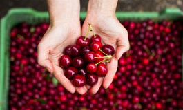 Инструкция по применению торгового сбора