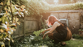 Как перенести срок ответа на требование ИНФС, если главбух в отпуске