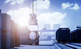 Система НС ПОПТ: тотальный контроль импорта