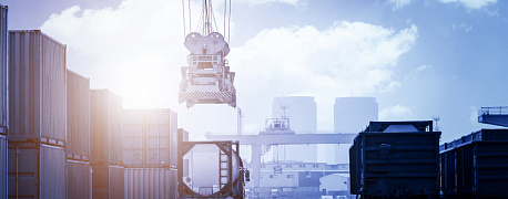 Система НС ПОПТ: тотальный контроль импорта