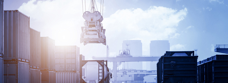 Система НС ПОПТ: тотальный контроль импорта