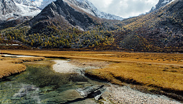 Налоги с путевок, приобретенных работникам в 2022 году