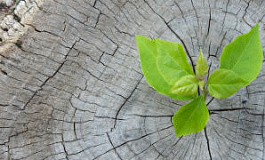 Выходные дни по уходу за ребенком-инвалидом