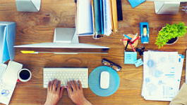 Структура бухгалтерской службы