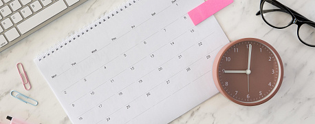 Какие отчеты сдать в феврале 2026 года и какие налоговые платежи провести