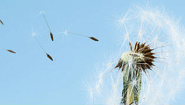 НДС на работы, не оплаченные заказчиком