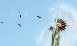 НДС на работы, не оплаченные заказчиком