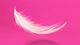 Экологический налог: быть или не быть?