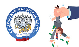Как узнать, кого поддержит налоговая