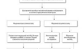 Как обжаловать решение налоговой инспекции (инструкция)