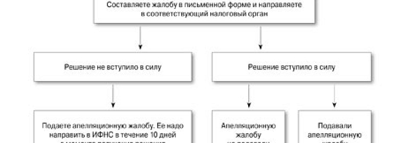 Как обжаловать решение налоговой инспекции (инструкция)