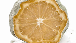 Ответственность за реализацию продукции с истекшим сроком годности