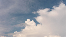 Статус субъекта МСП определяется соответствием установленным критериям, а не записью в реестре