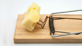 О сыре и мышеловке: бесплатный обед как объект обложения НДС