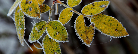 Новости недели с 08 по 12 декабря 2025 года: транспортный налог, пении за просрочку уплаты налогов, в платежке ЕНП изменен реквизит