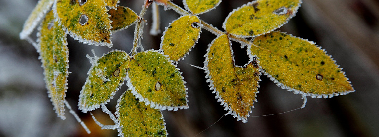 Новости недели с 08 по 12 декабря 2025 года: транспортный налог, пении за просрочку уплаты налогов, в платежке ЕНП изменен реквизит