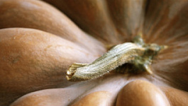 Календарь бухгалтера на октябрь