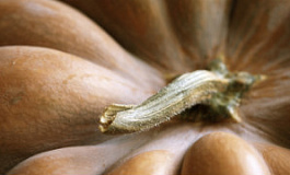 Календарь бухгалтера на октябрь