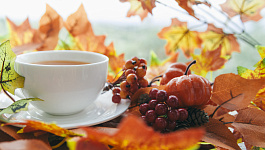 Планируются изменения по налогу на прибыль, налоговая нагрузка на ИТ-бизнес: новости недели с 06 по 10 октября 2025 года