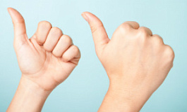 Совместные выездные проверки внебюджетных фондов