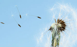 Cвежий взгляд на бухгалтерию. 5 преимуществ работы в облаке