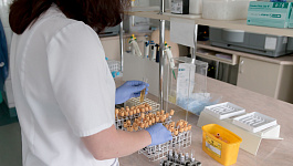 Тестирование работников на коронавирус