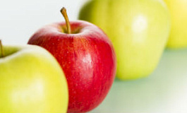 Объект налогообложения при УСН