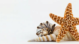 Облагают ли НДС турпутевки для сотрудников