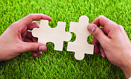 Что ФНС и суды считают фиктивным «дроблением» фирмы?