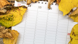 Как рассчитать отпускные, если на отпуск выпадают праздничные ноябрьские