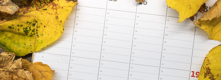 Как рассчитать отпускные, если на отпуск выпадают праздничные ноябрьские