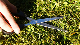 Штрафы для малого бизнеса уменьшили в 2 раза