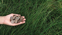 Жить не по  МРОТ?