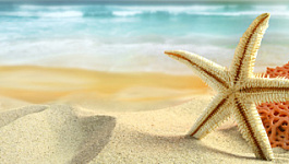 Когда перечислять в бюджет НДФЛ с отпускных