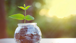 Новая фирма: как определить налоговый период по НДС и отчитаться