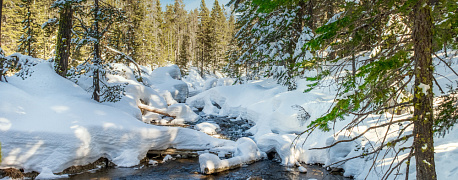 Утверждена 6-НДФЛ за 1 кв. 2024 года, неожиданные пени за декабрь 2023 на ЕНС можно аннулировать и другие новости с 12 по 16 февраля 2024
