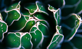 Страховые взносы с выходных пособий