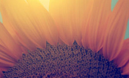 Бухгалтерия социальных конверсий