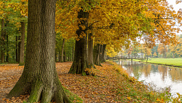 Госпошлины, новые формы ЕТД, порядок обмена с/ф: новости с 22 по 26 сентября 2025 года