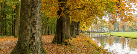 Госпошлины, новые формы ЕТД, порядок обмена с/ф: новости с 22 по 26 сентября 2025 года