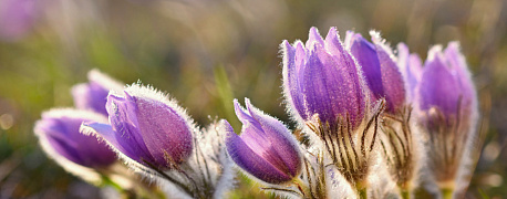 Поправки в НК РФ, изменение поля «108» в платежке: стало известно с 18 по 24 марта 2024 г. 