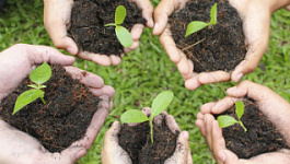 История экологического налога