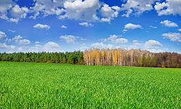 Когда земельный налог можно пересчитать с середины периода?