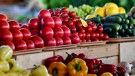 Какие изменения по НДС ждут экспортеров с 2024 года?