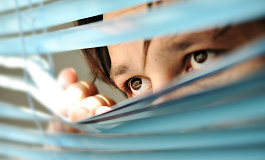 Аудиторская тайна стала фикцией?