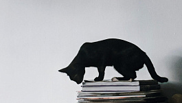 Наличие конфликта с руководством само по себе не свидетельствует о вынужденности увольнения